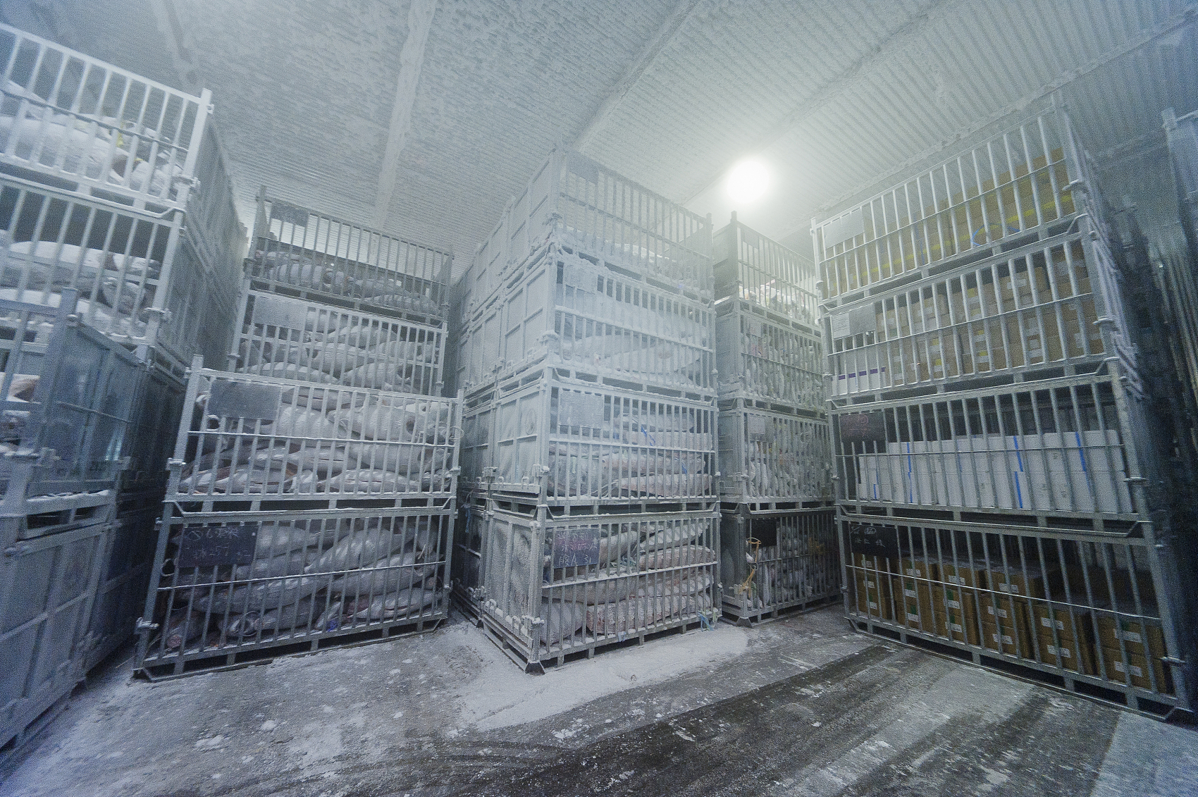 Arctic Fox复合型火灾探测器在屠宰场的应用